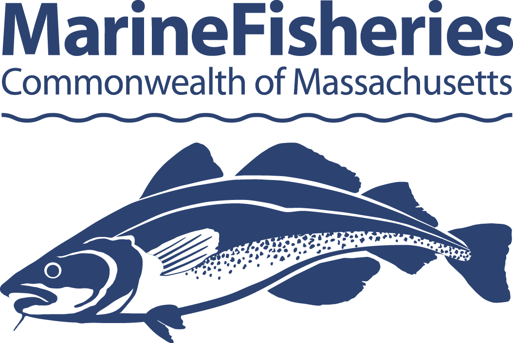 Massachusetts Division of Marine Fisheries